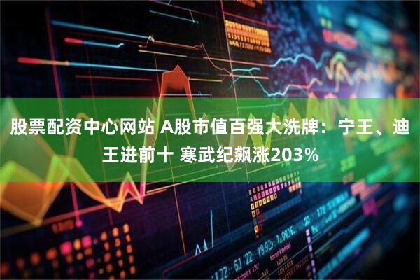 股票配资中心网站 A股市值百强大洗牌：宁王、迪王进前十 寒武纪飙涨203%